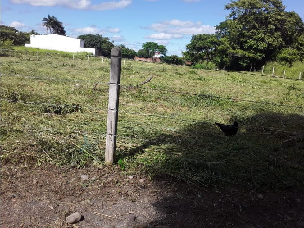 Lote en Venta en Yopal