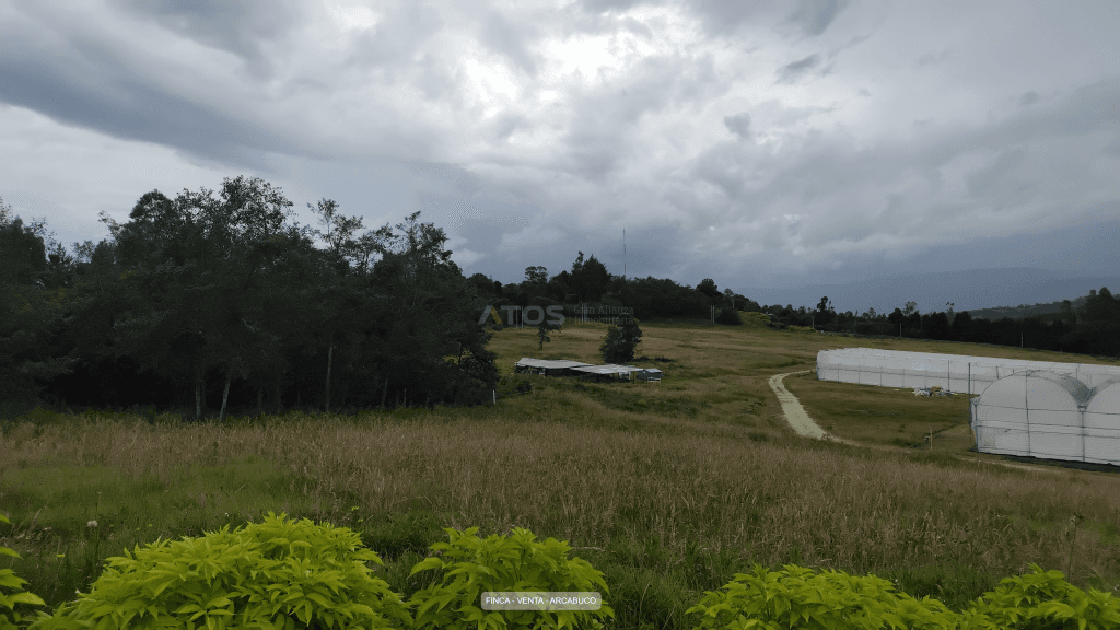 Finca en Venta en Centro, Arcabuco