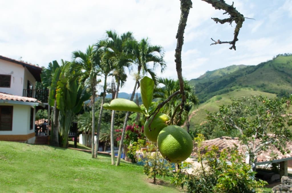Finca en Venta en Buenavista, Ciudad Bolívar
