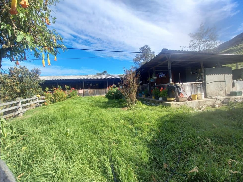 Finca en Venta en Palmira