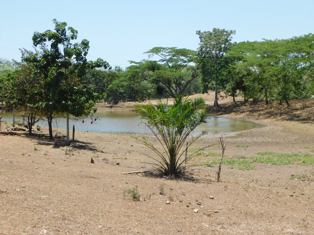 Finca en Venta en Bayunca, Clemencia