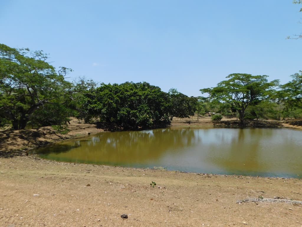 Finca en Venta en Bayunca, Clemencia