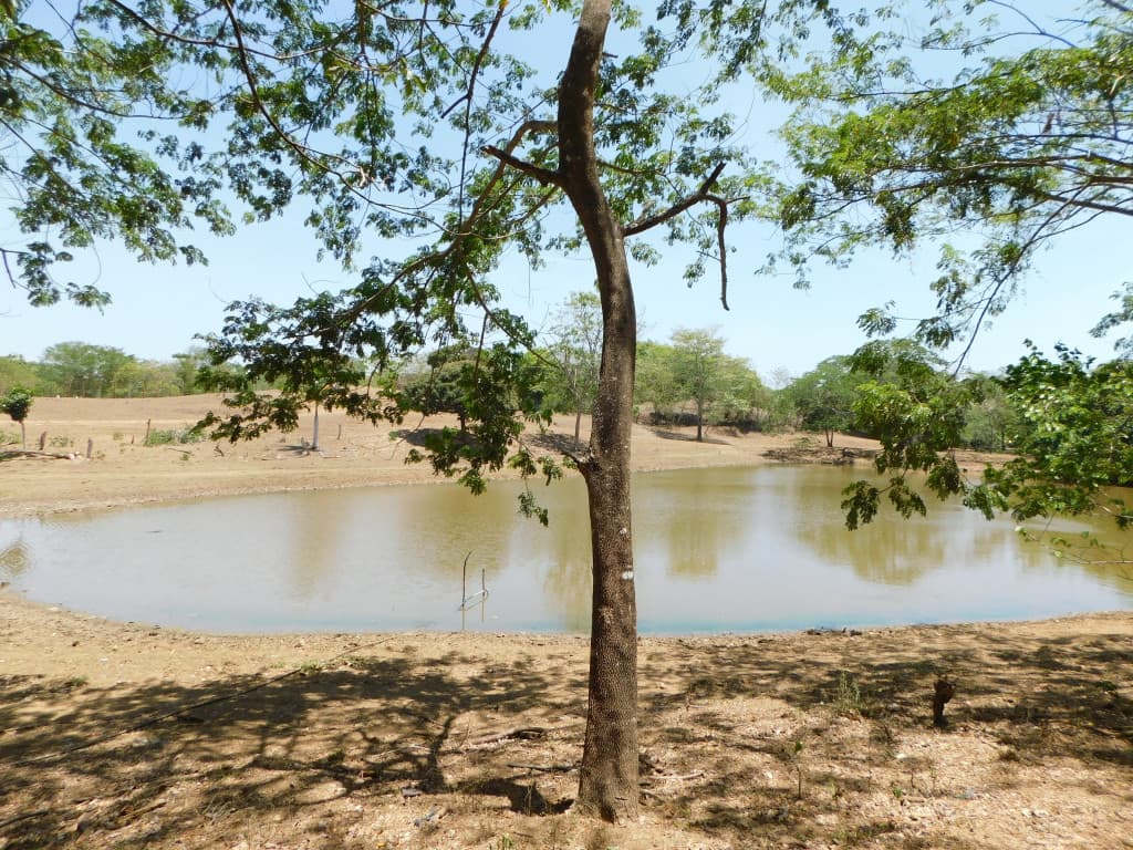 Finca en Venta en Bayunca, Clemencia