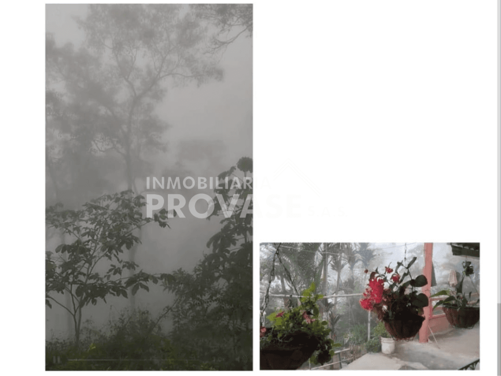 Finca en Venta en Chinacota