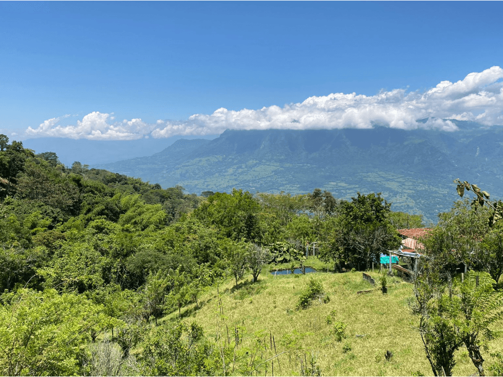 Finca en Venta en Puente iglesias, Fredonia