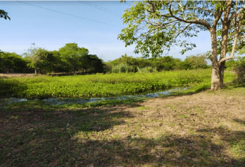 Casa Lote en Venta en Baranoa