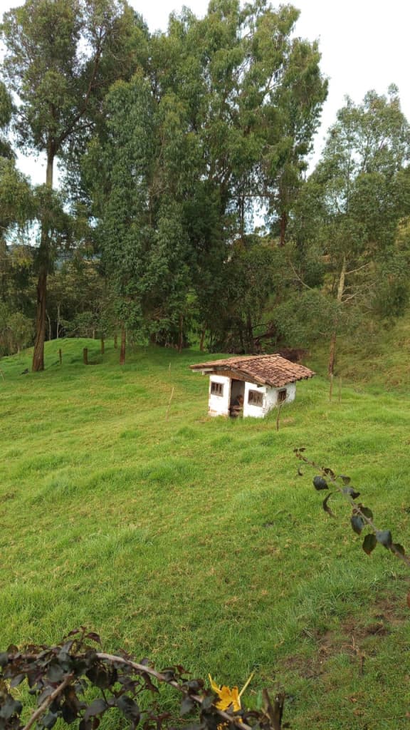 Finca en Venta en Pueblo nuevo, Caucasia