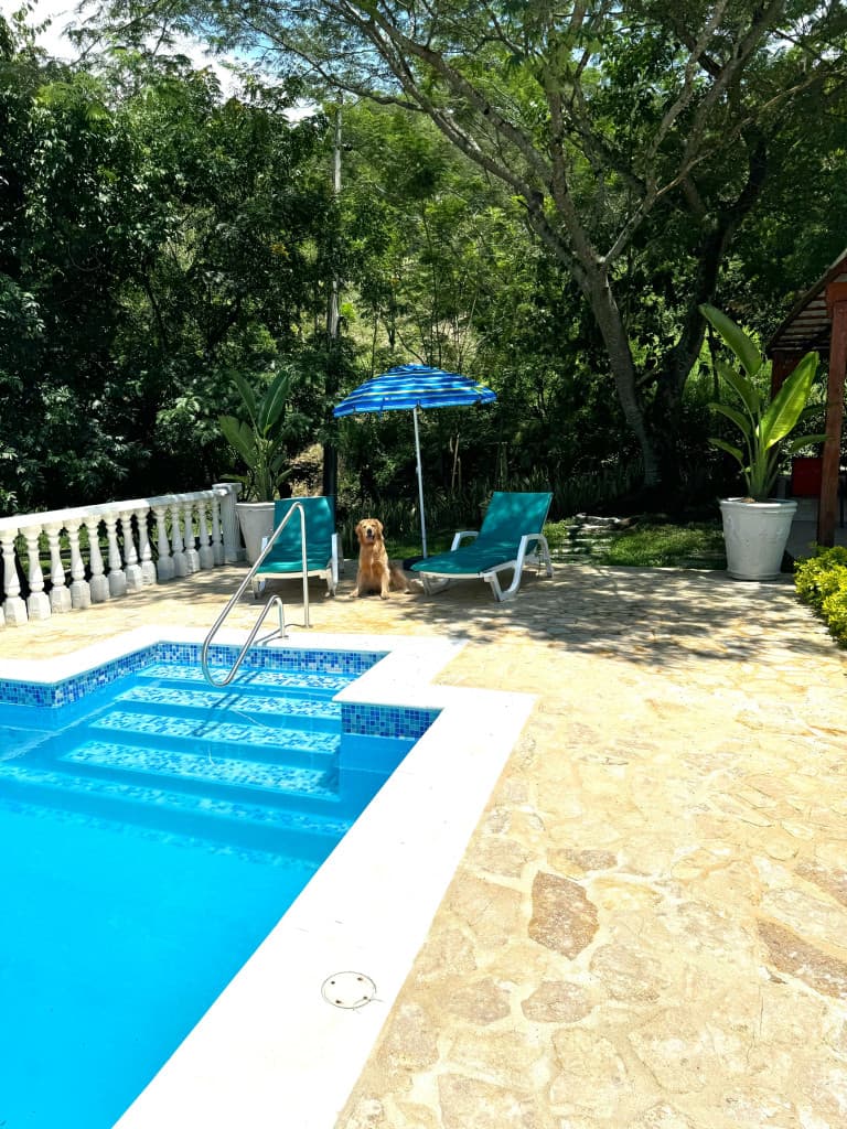 Finca en Venta en Amagá