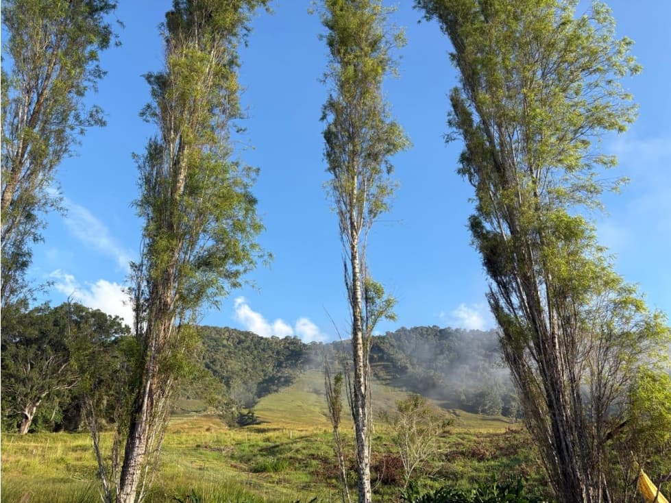 Casa Campestre en Venta en Calima - El Darién, Calima