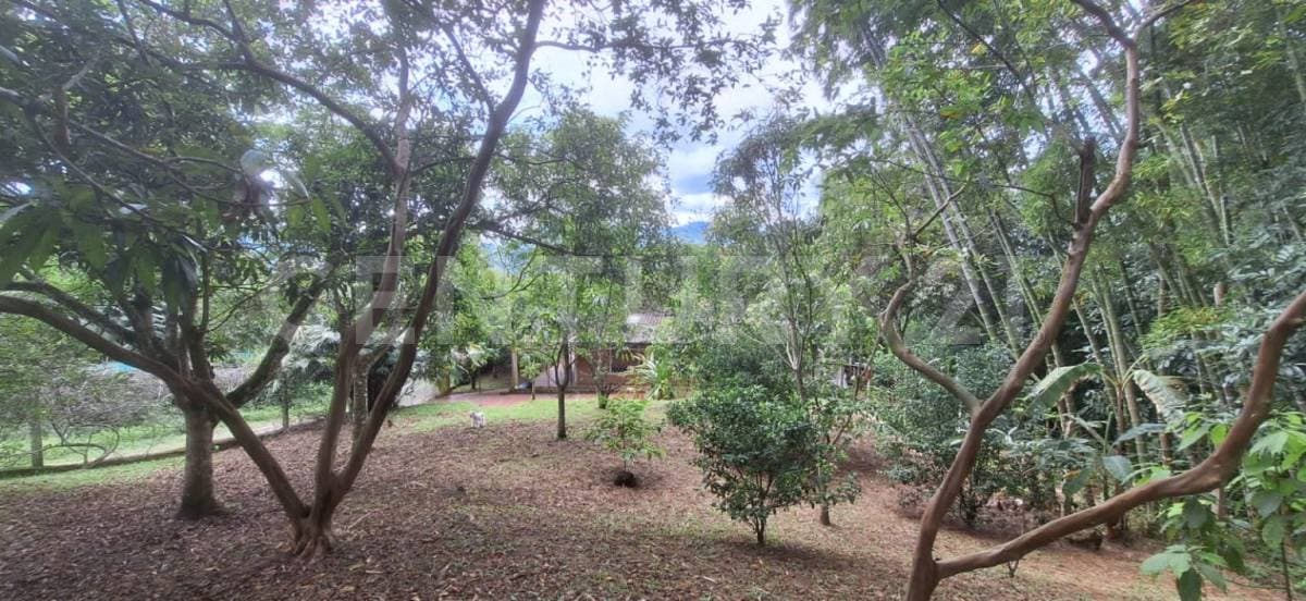 Finca en Venta en La mesa