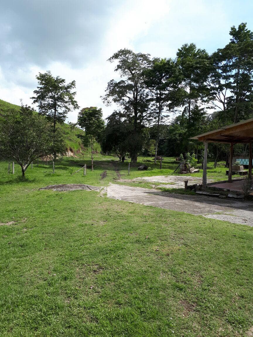 Finca en Venta en El japon, La dorada
