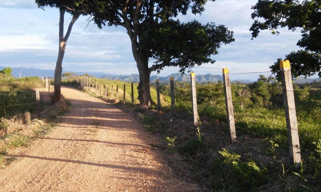 Finca en Venta en El japon, La dorada