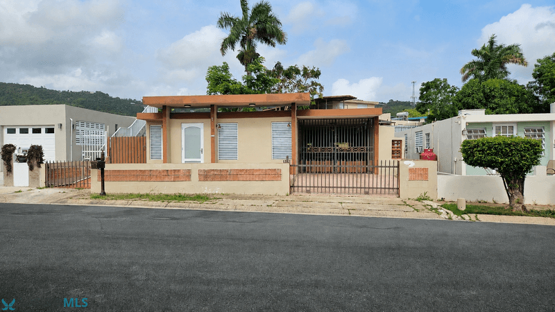 9 CALLE, Villa Nueva (Urbanizacion), Caguas, Puerto Rico 00727