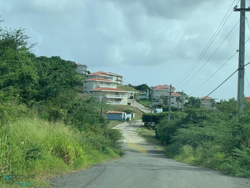 Fraile, Culebra, 00775