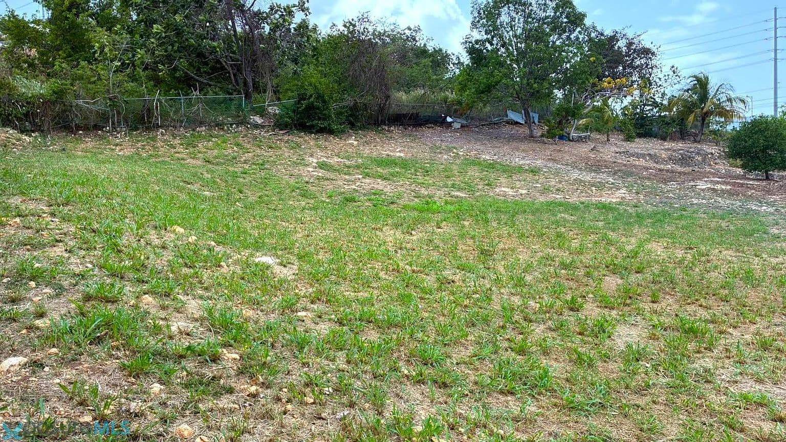 Carretera 492, Hato Abajo, Arecibo, 00659