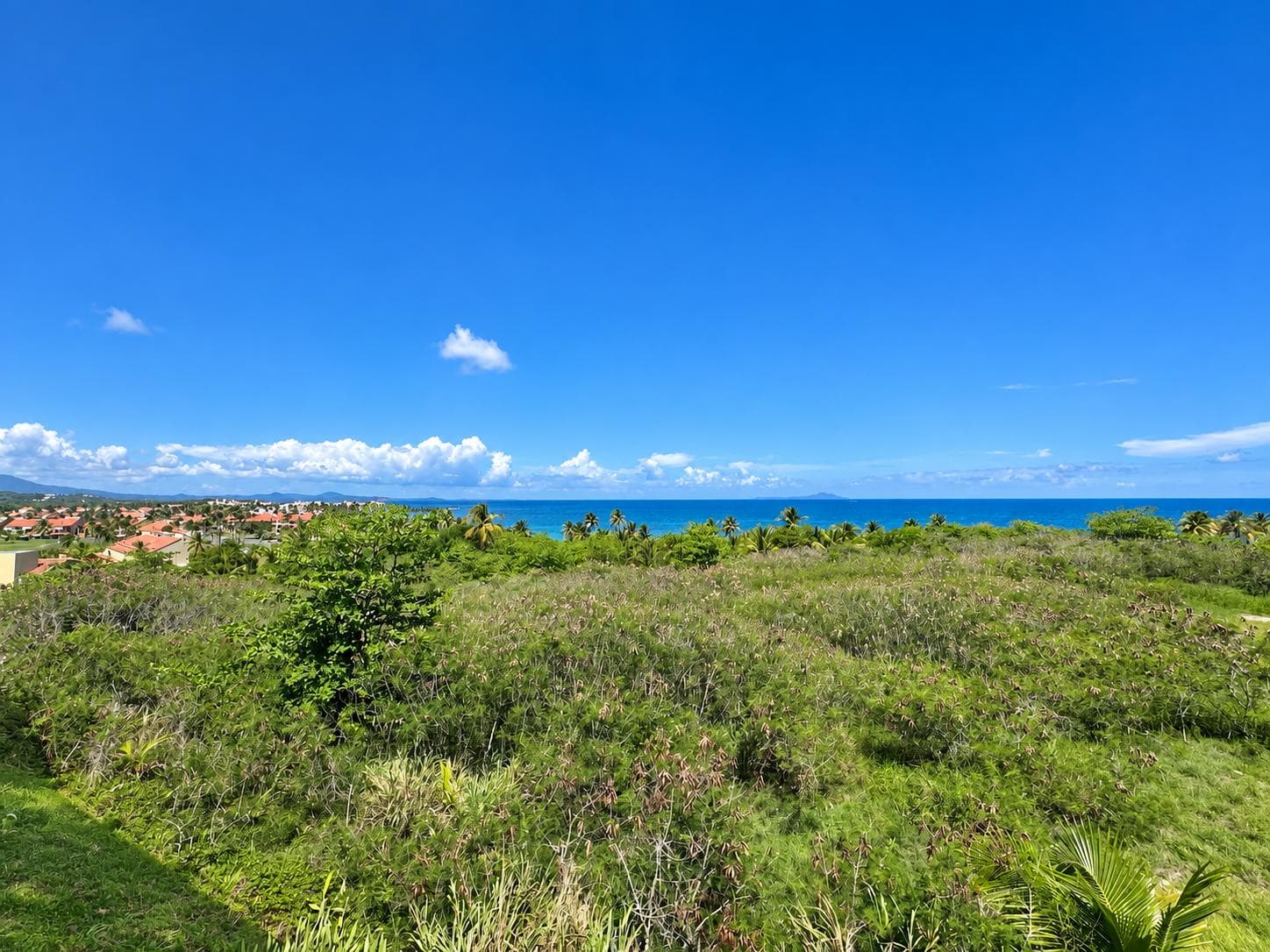Vive Palmas del Mar | Condo 2H/2B