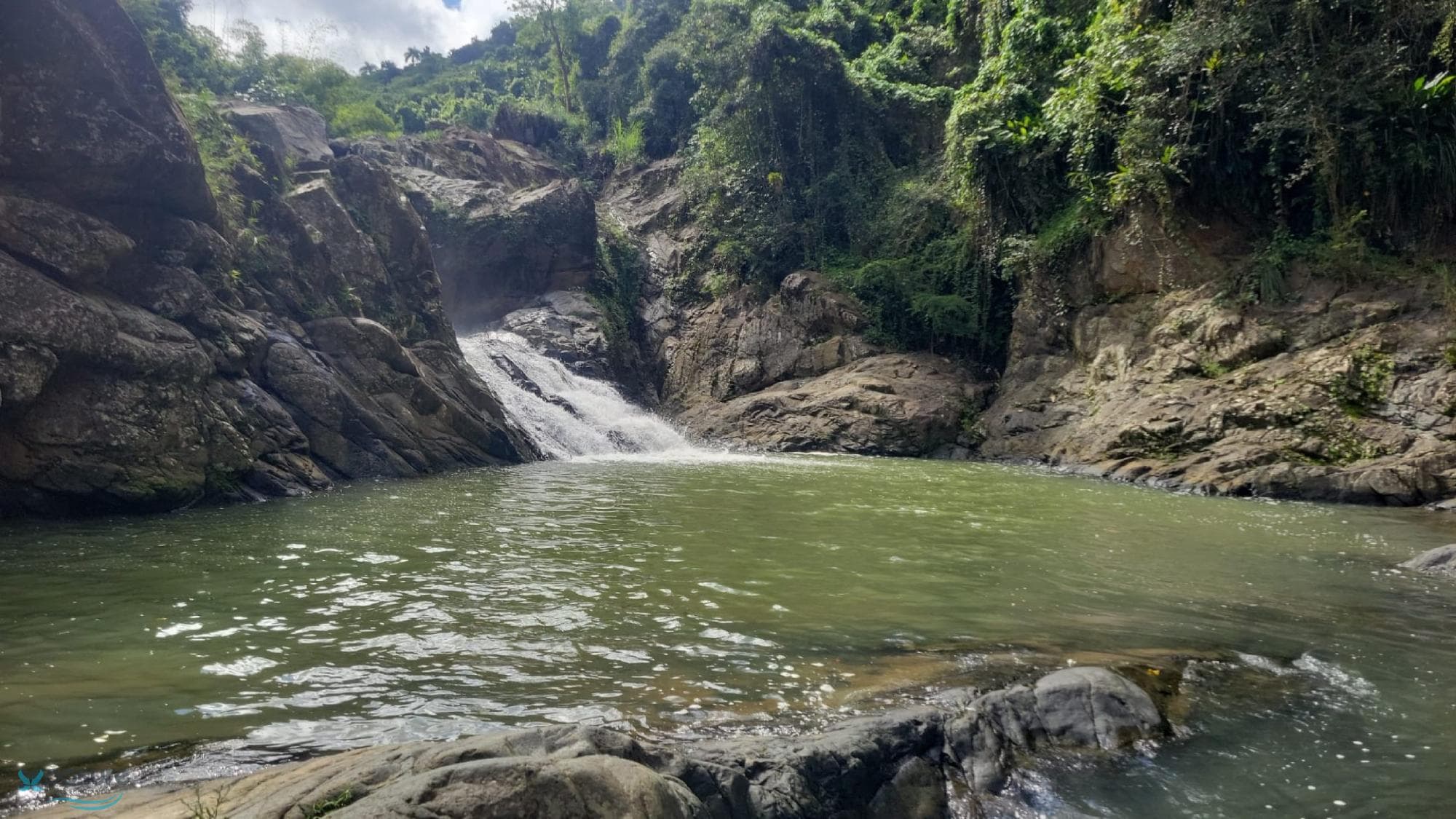 Carretera 185 Km 5.8, Hato Puerco, Canóvanas, 00729
