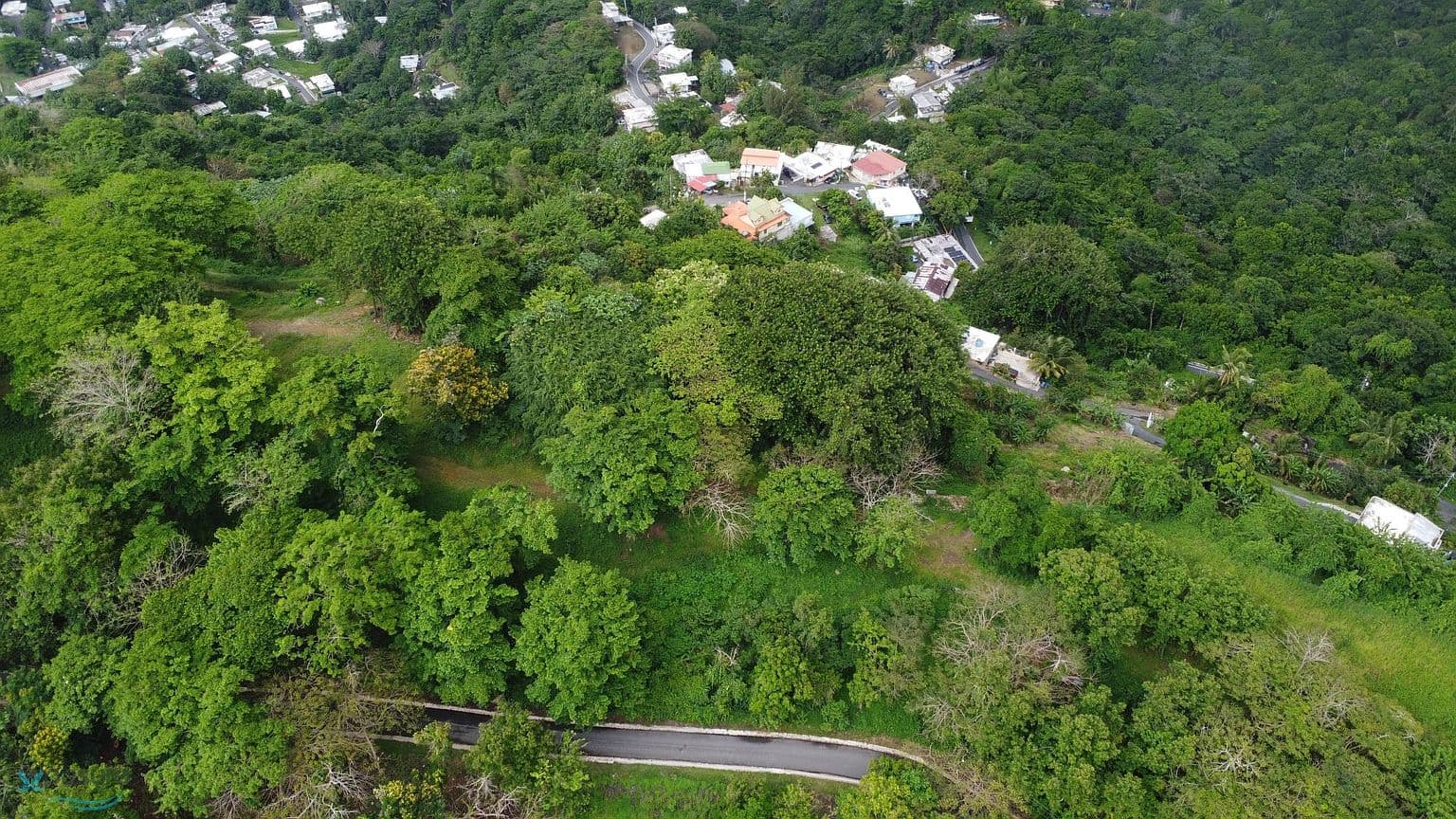 CARR 835 BO MAMEY 1 SECTOR JOSE MARIA MARTINEZ, PR, 00971