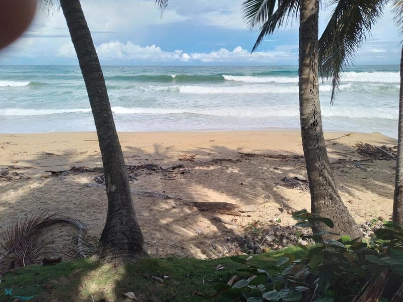 Puntas, Rincón, 00677