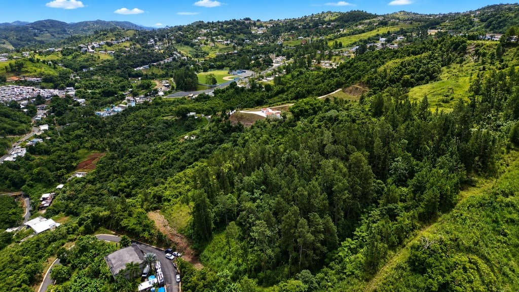 Bo Orocovis Sector El Pueblito