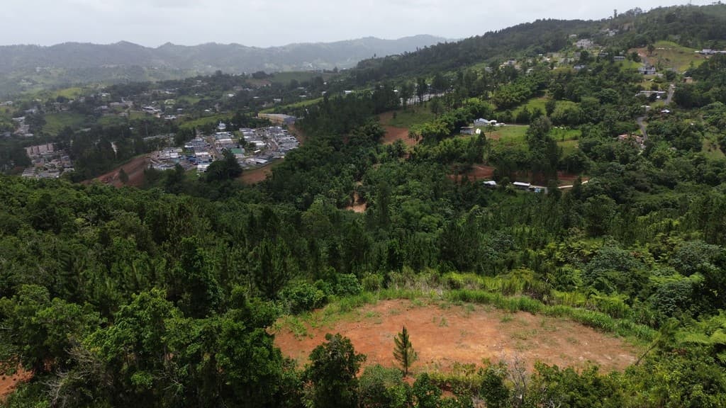 Bo Orocovis Sector El Pueblito