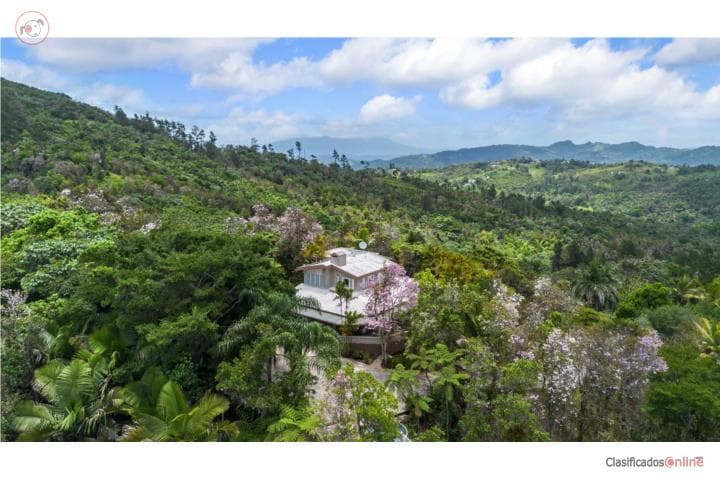 GUAVATE CABIN | At The Top of the World,
en Cayey Puerto Rico Casa en Barrio - Guavate