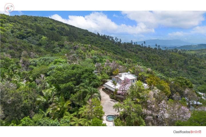 GUAVATE CABIN | At The Top of the World,
en Cayey Puerto Rico Casa en Barrio - Guavate