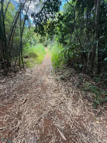Carretera 352, Río Cañas Abajo, Mayagüez, 00680