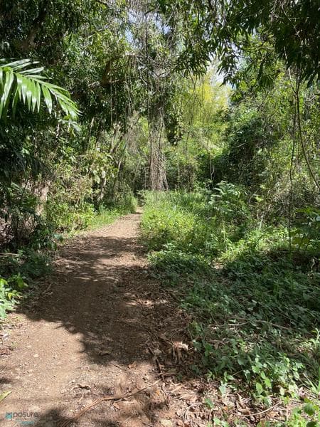 Carretera 352, Río Cañas Abajo, Mayagüez, 00680