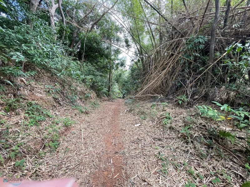 Carretera 352, Río Cañas Abajo, Mayagüez, 00680