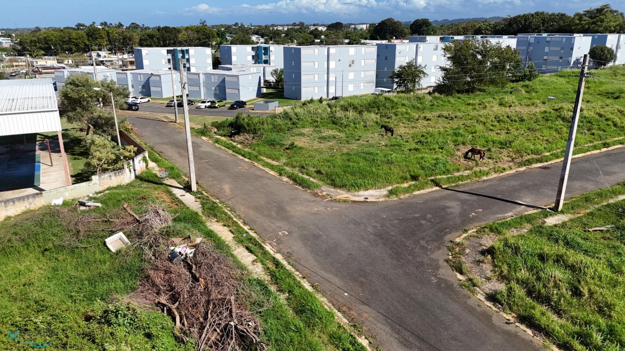 Terranova (Barrio)