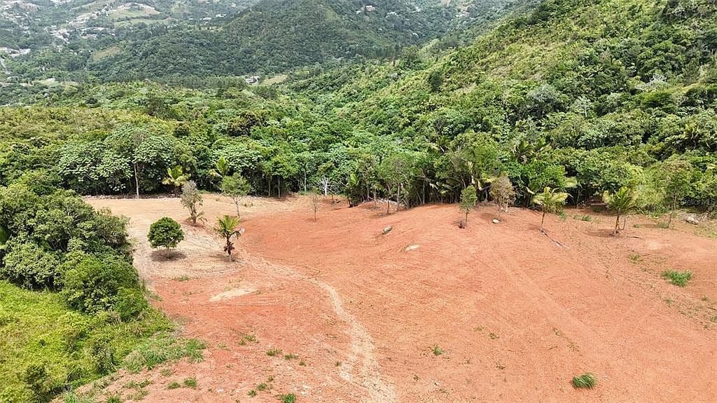 PALO HINCADO WARD