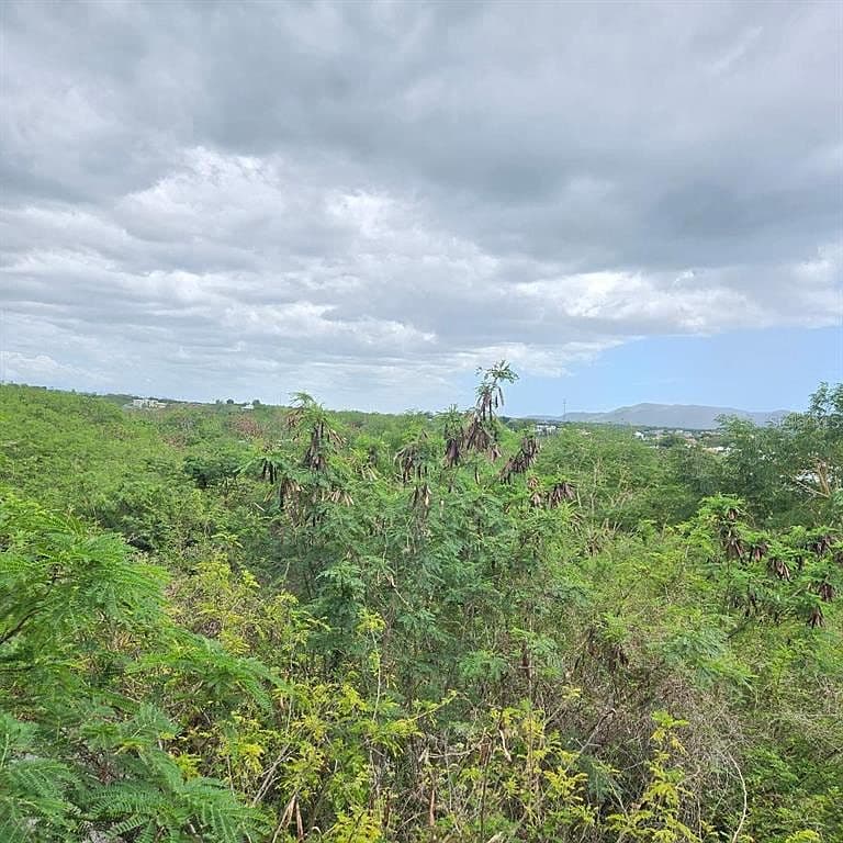 Carretera 307 Km 6, Pedernales, Cabo Rojo, 00622