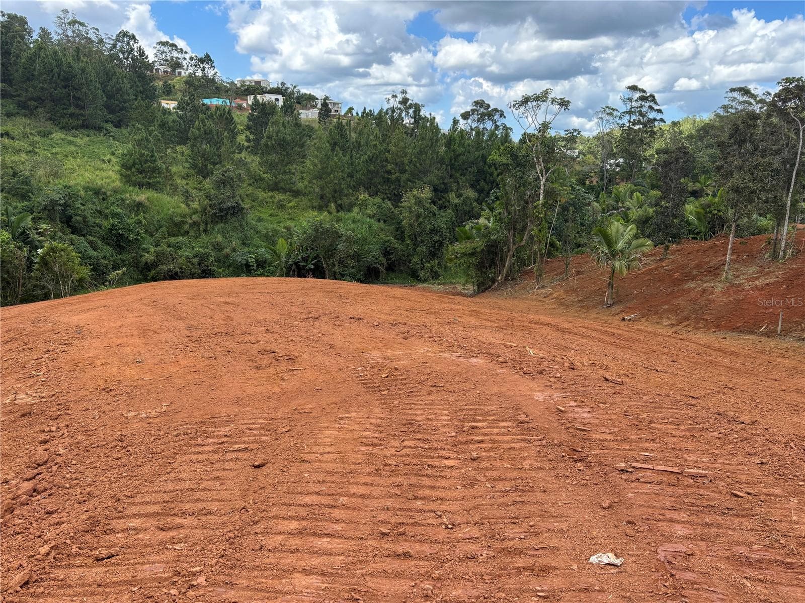 CARR 569 KM 2.7 INT BO. SABANA