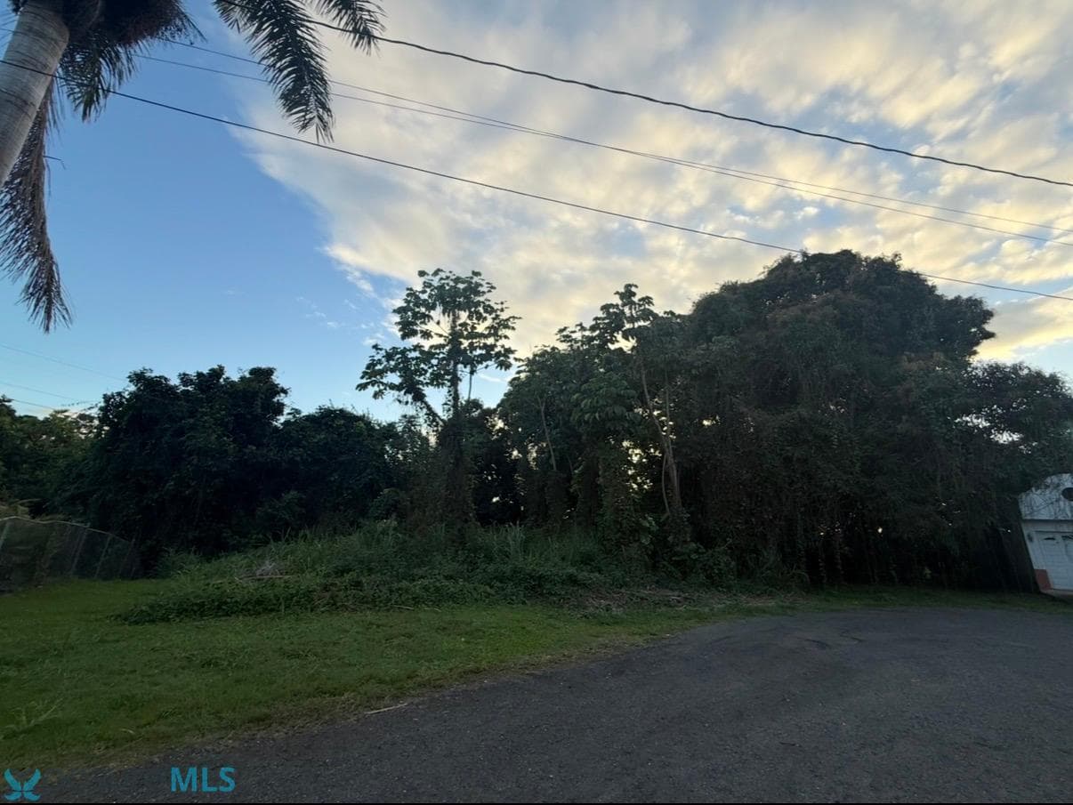 423 CARMEN, MAYAGUEZ, PR 00680