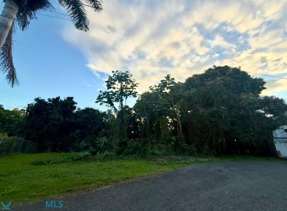 423 CARMEN, MAYAGUEZ, PR 00680