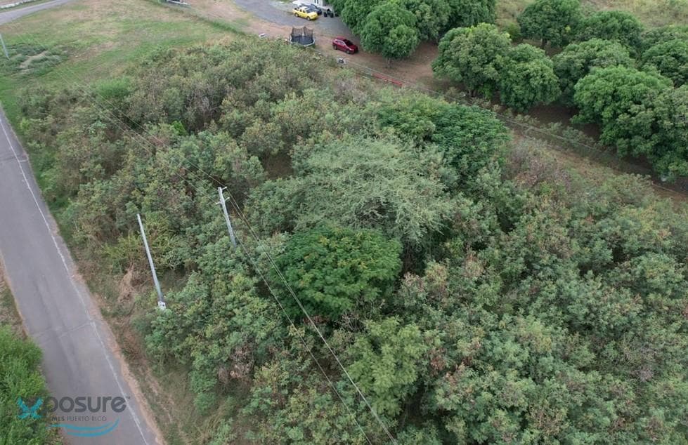 Carretera 3 Km 157.1, Lapa, Salinas, 00751