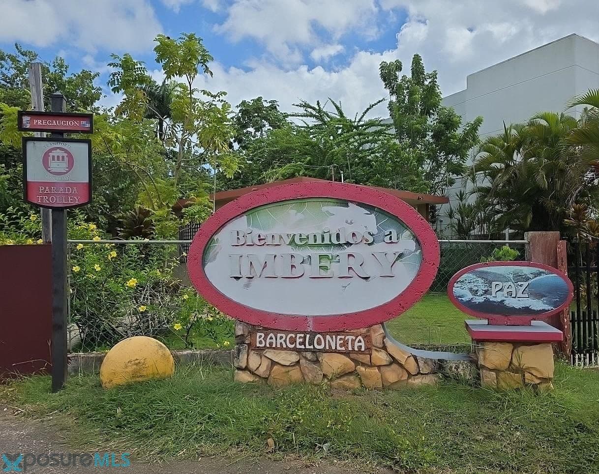 58 COMM. IMBERY BO. FLORIDA CALLE CORAZON (3), BARCELONETA, PR 00617