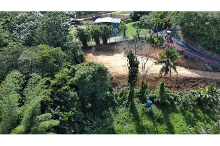 BO. HATO NUEVO, TERRENO EN GUAYNABO,
en Guaynabo Puerto Rico Solar - Land en Barrio - Hato Nuevo