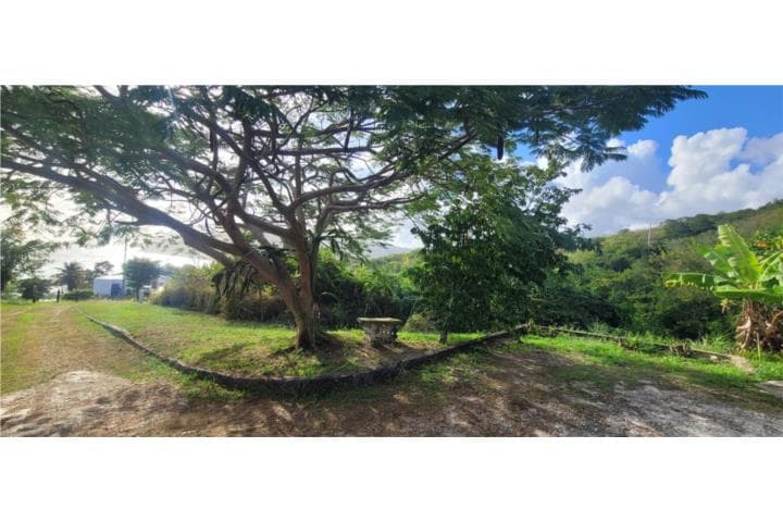Bo. Emajaguas, Maunabo ,
en Maunabo Puerto Rico Solar en Barrio - Emajaguas