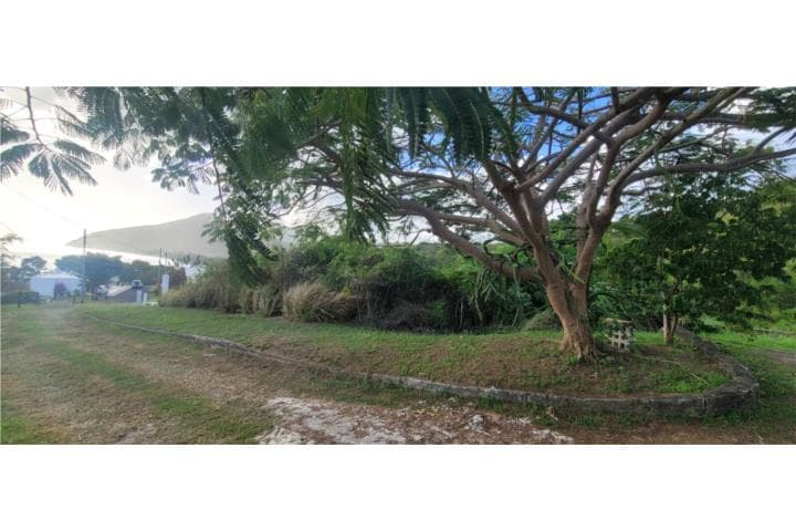 Bo. Emajaguas, Maunabo ,
en Maunabo Puerto Rico Solar en Barrio - Emajaguas