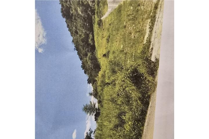 12 cuerdas Bo.Rio Blanco Naguabo, P.R.,
en Naguabo Puerto Rico Finca en Barrio - Rio Blanco