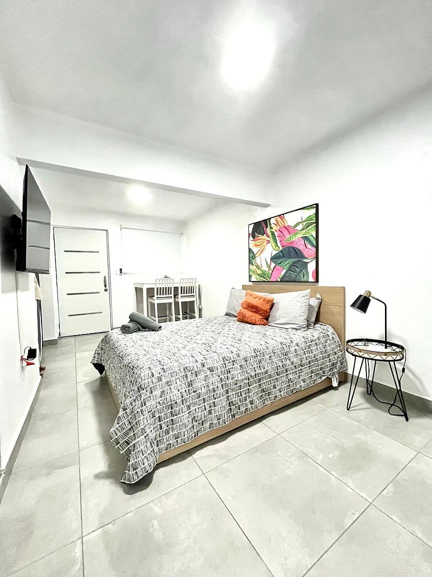 157 Calle Labra, Santurce, San Juan, 00907