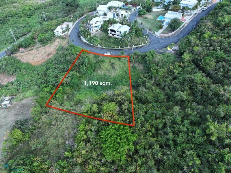 Urbanización las Gaviotas (fajardo), 2 Calle las Flores, Quebrada Vueltas, Fajardo, 00738