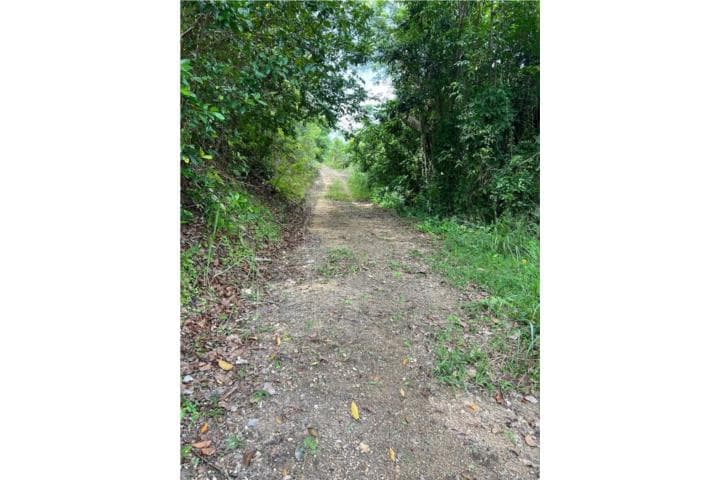 Finca de 8 cuerdas en Quebrada Arena Toa Alta,
en Toa Alta Puerto Rico Finca en Barrio - Quebrada Arenas