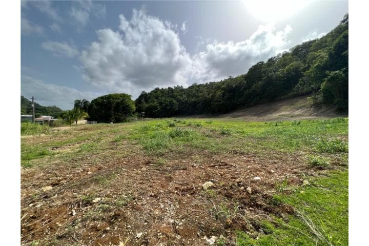 Finca de 8 cuerdas en Quebrada Arena Toa Alta,
en Toa Alta Puerto Rico Finca en Barrio - Quebrada Arenas