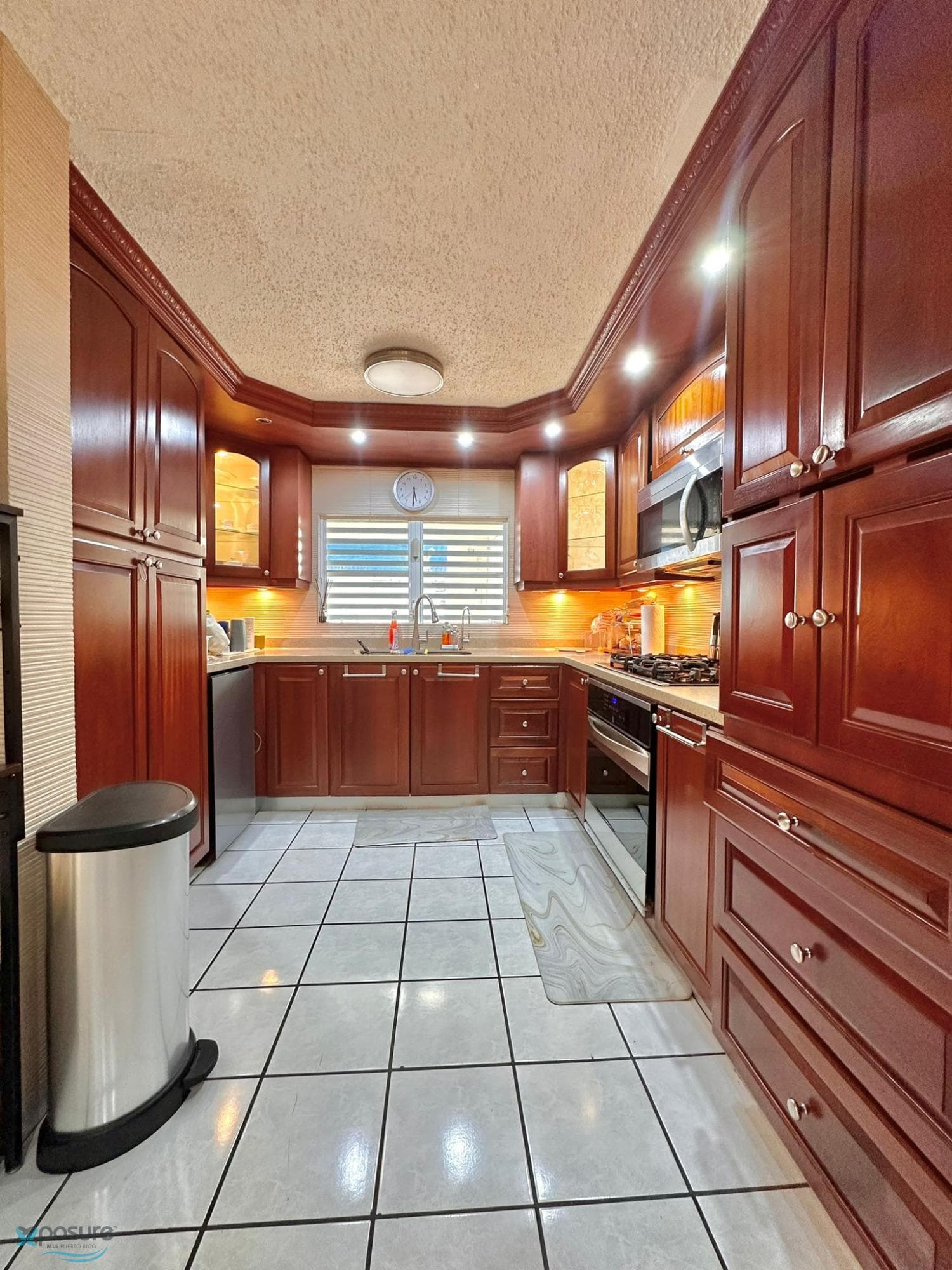 12 Calle Madre Perla, Higuillar, Dorado, 00646