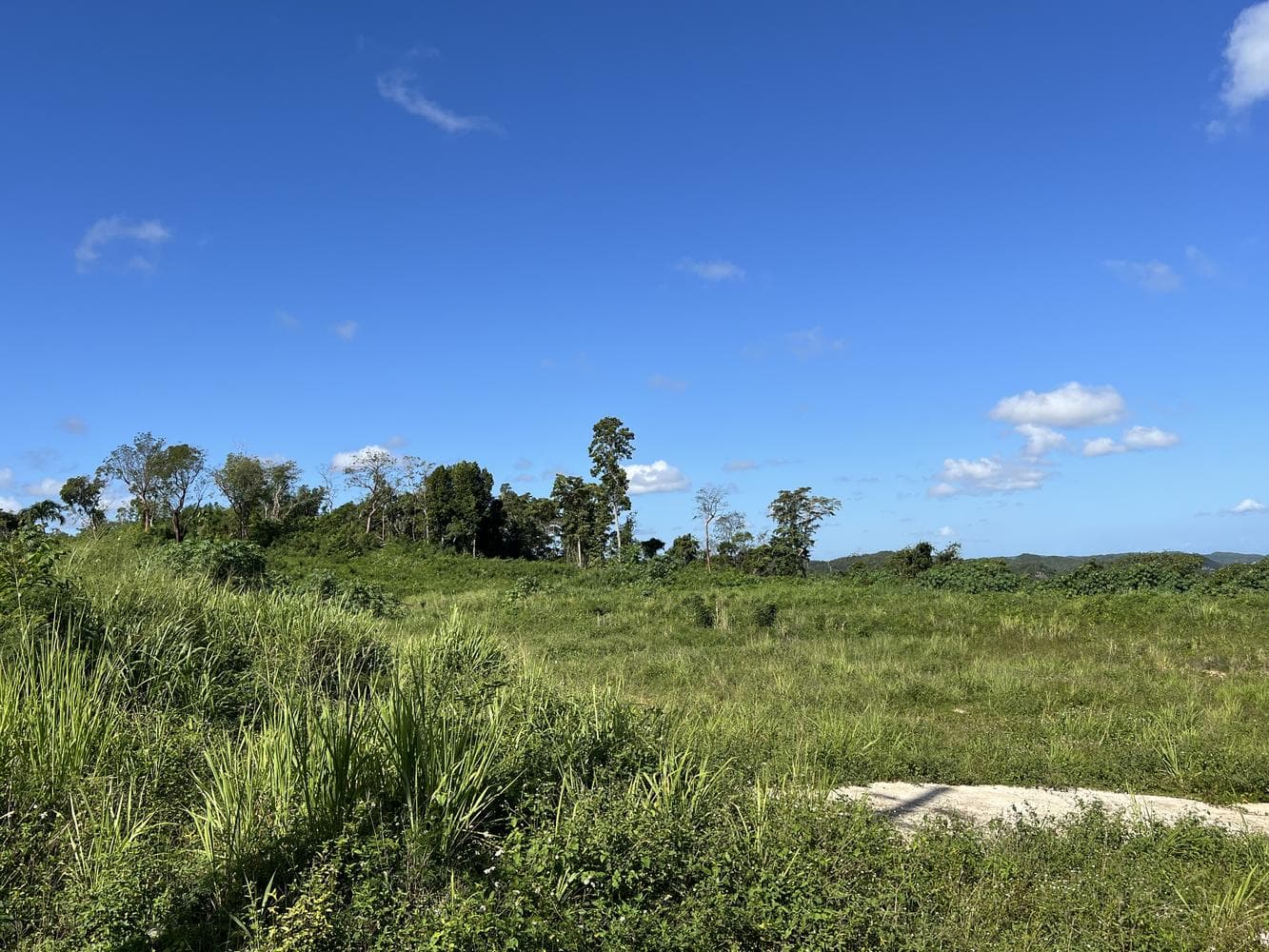 Barriada Miranda, Coto Sur, Manatí, 00674