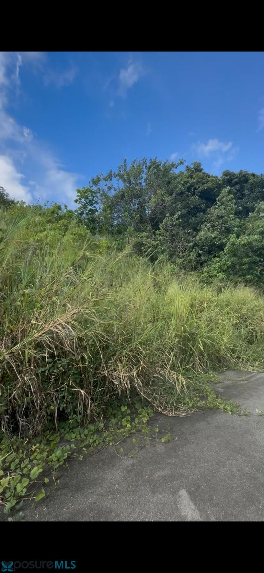 3 MARGARITA, Las Mercedes (Barrio), Aibonito, Puerto Rico 00000