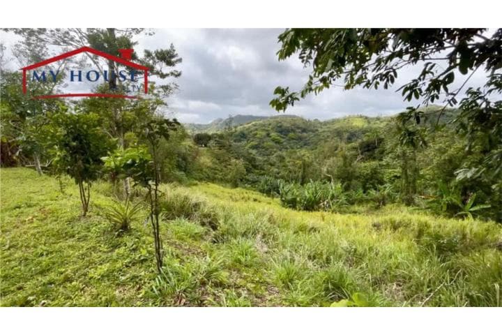 HELECHAL,
en Barranquitas Puerto Rico Solar - Lot en Barrio - Helechal